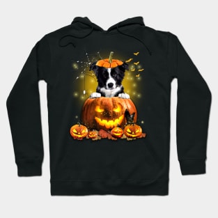 Border Collie Spooky Halloween Pumpkin Dog Head Hoodie